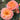 Two peachy-orange roses in full bloom with dark green leaves, photographed outdoors against a softly blurred garden background.