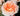A close-up of a peach and cream rose in full bloom, with soft layered petals and a warm orange center, photographed outdoors against a blurred green and brown background.