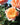 A close-up of a peachy-orange rose bloom with layered petals, surrounded by green leaves and other blurred roses under natural sunlight.