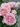 A close-up of light pink roses in full bloom with green leaves, set against a blurred gray gravel background.