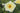 Pale yellow rose open showing yellow and red stamens with green leaves in the background. 