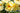 Yellow rose blooms open with yellow stamens and green leaves in the background. 
